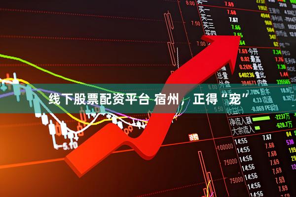 线下股票配资平台 宿州，正得“宠”