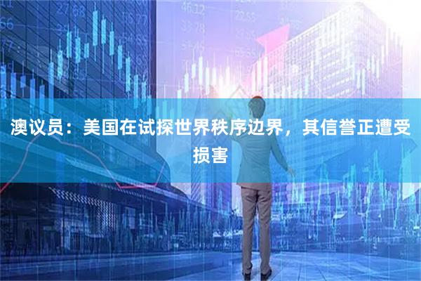 澳议员：美国在试探世界秩序边界，其信誉正遭受损害